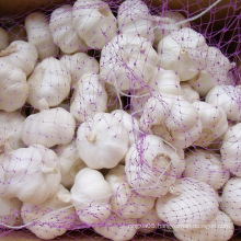 2021 crop High Quality Chinese 5.0cm Fresh White Garlic